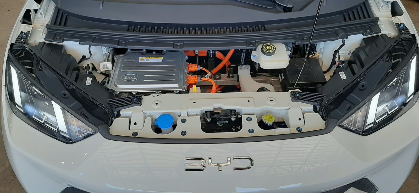 BYD DOLPHIN MINI