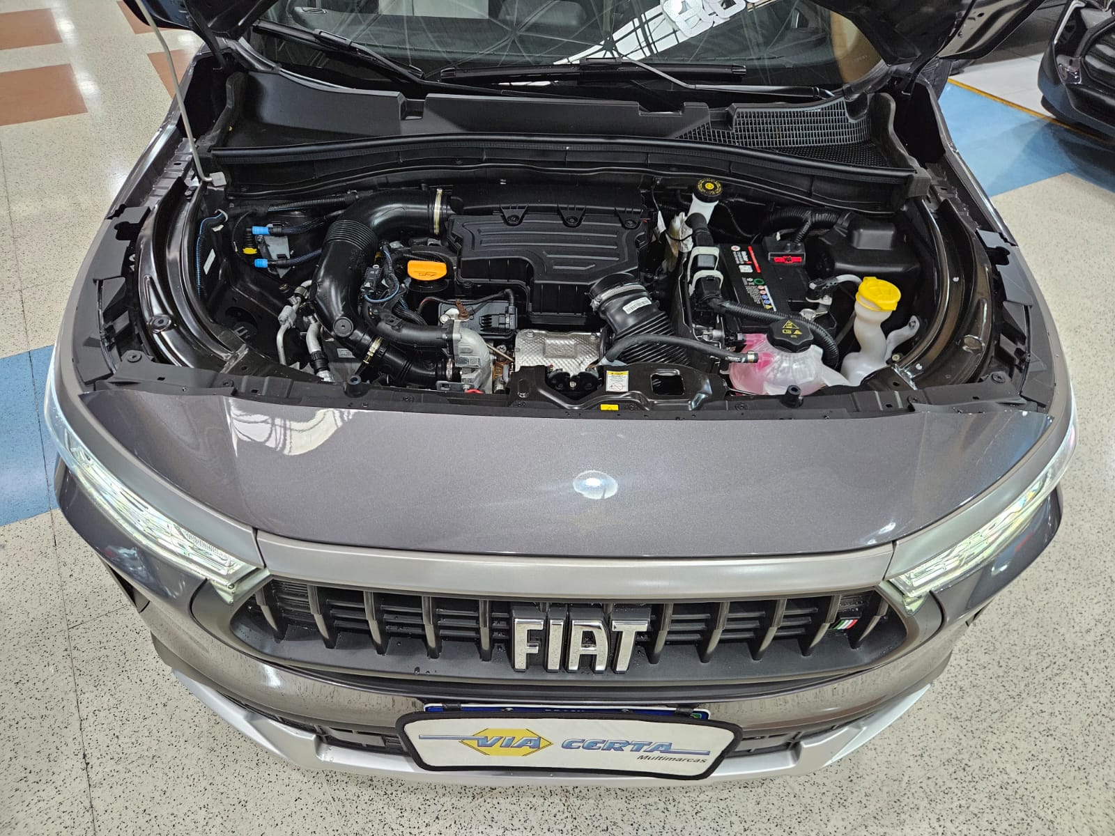 FIAT PULSE