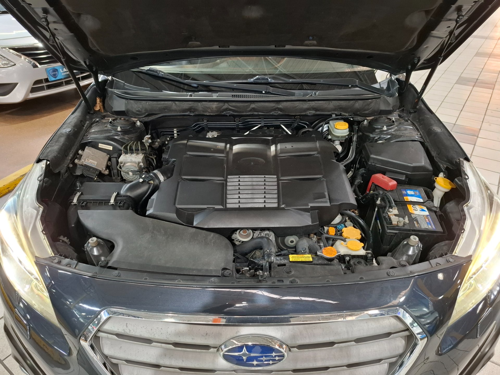 SUBARU OUTBACK