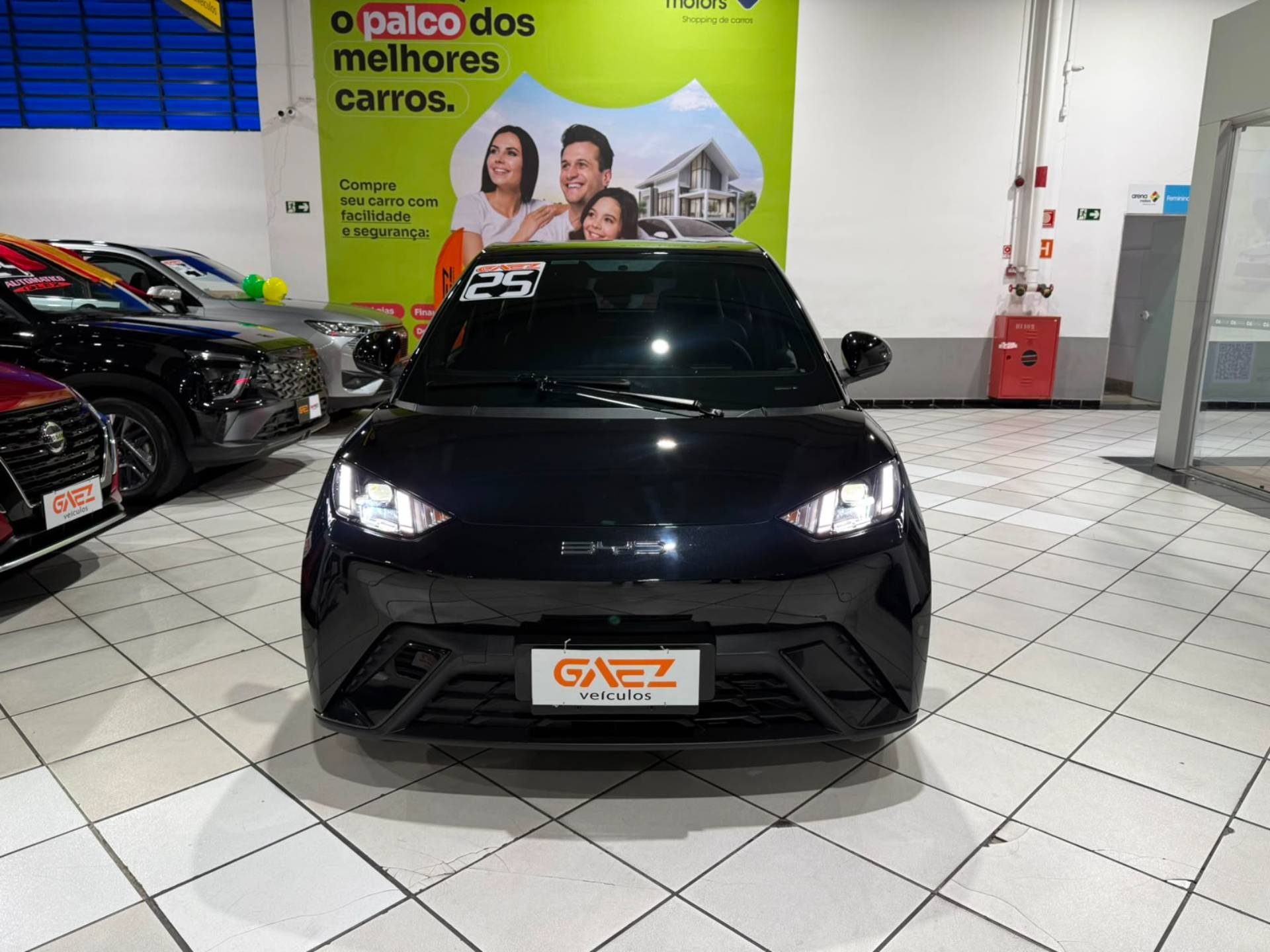 BYD DOLPHIN MINI
