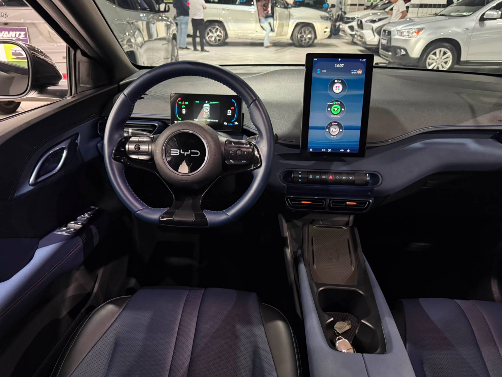 BYD DOLPHIN MINI