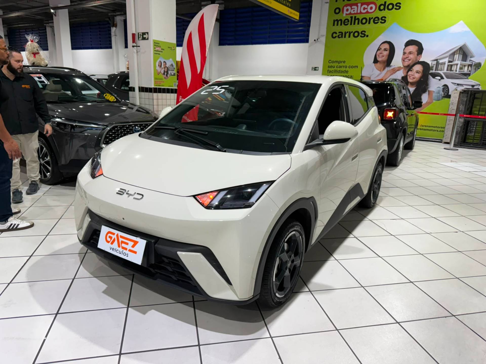 BYD DOLPHIN