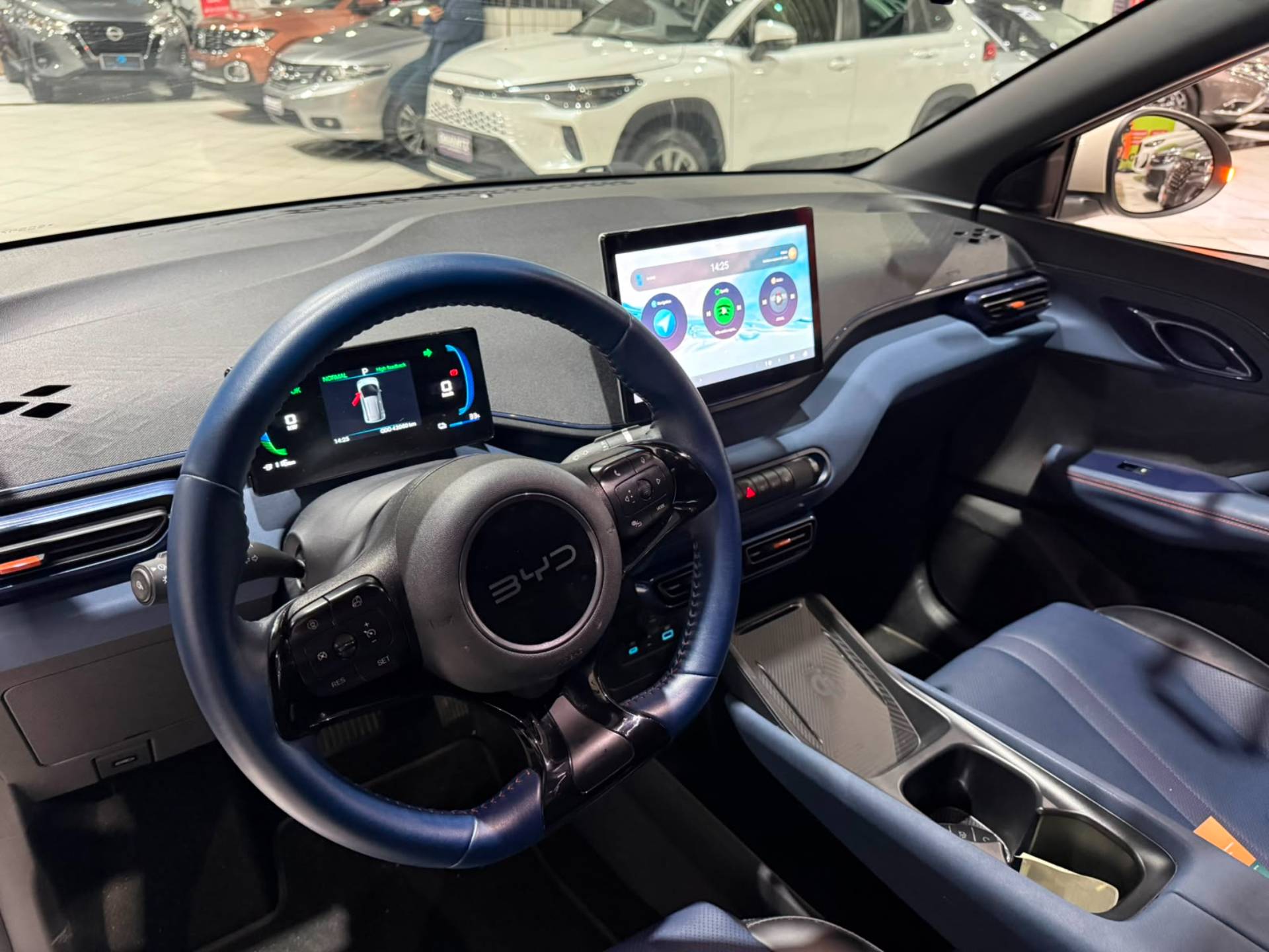 BYD DOLPHIN