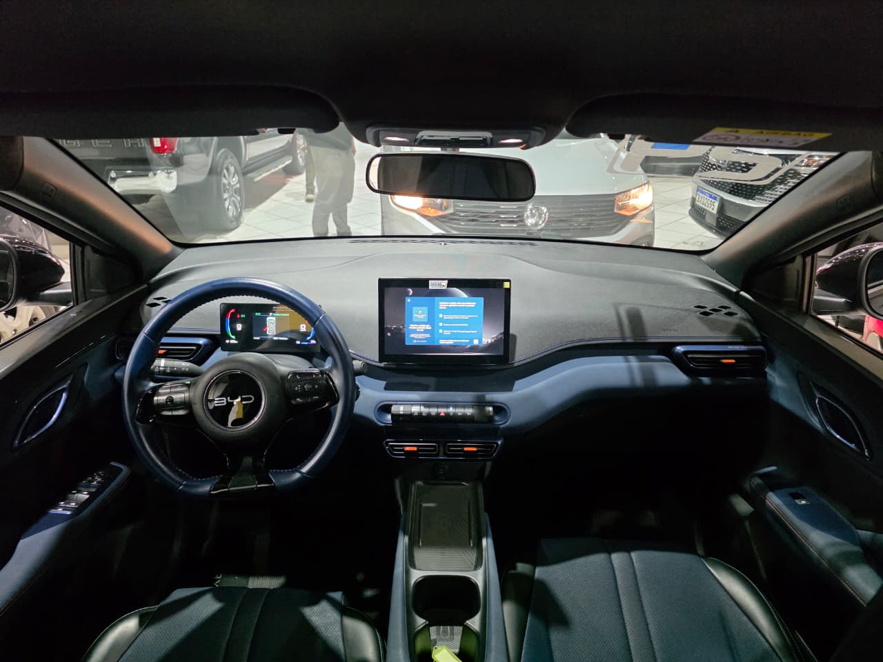 BYD DOLPHIN MINI