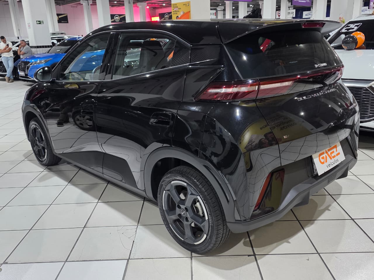 BYD DOLPHIN MINI