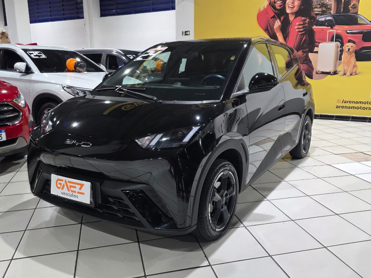 BYD DOLPHIN MINI