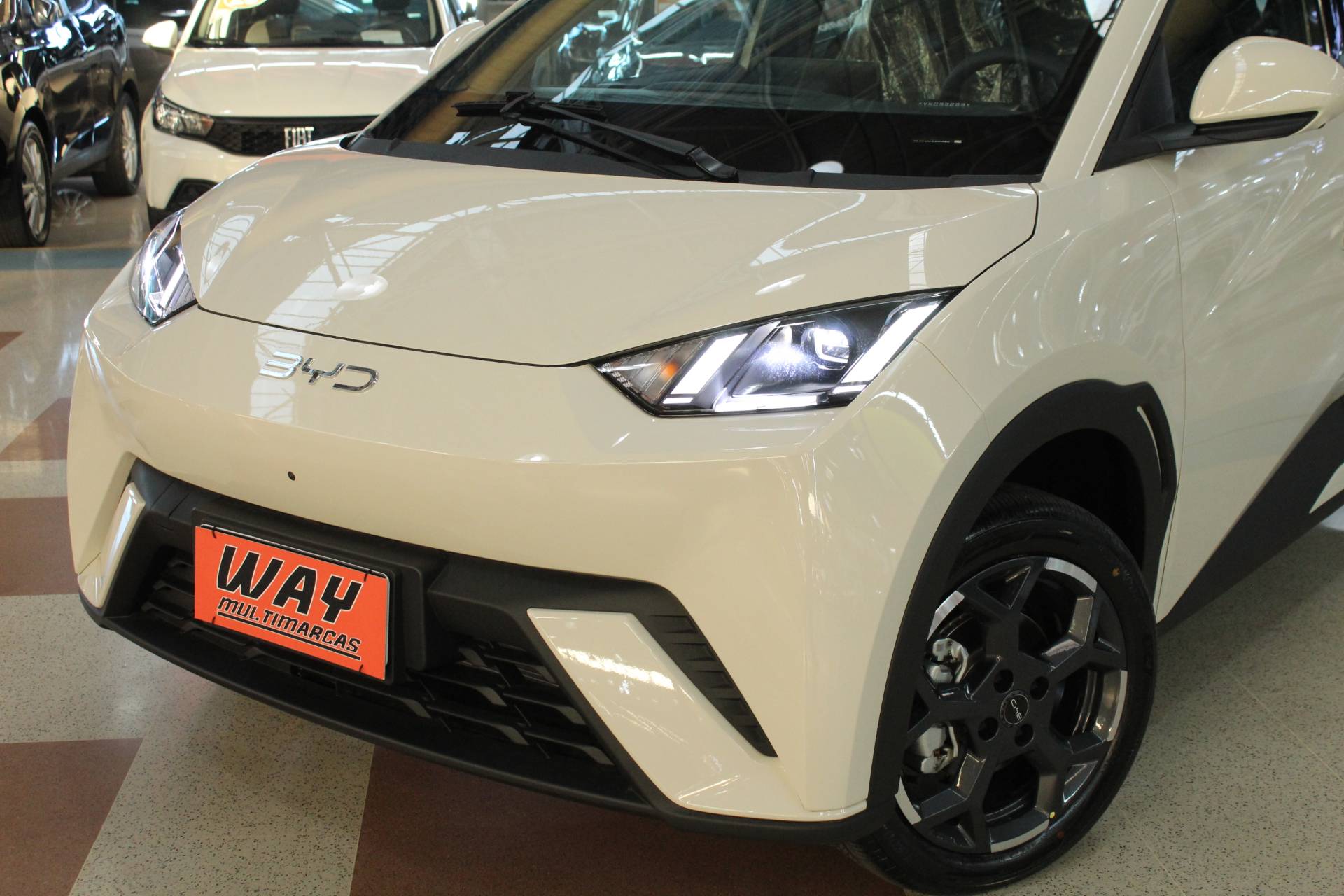 BYD DOLPHIN