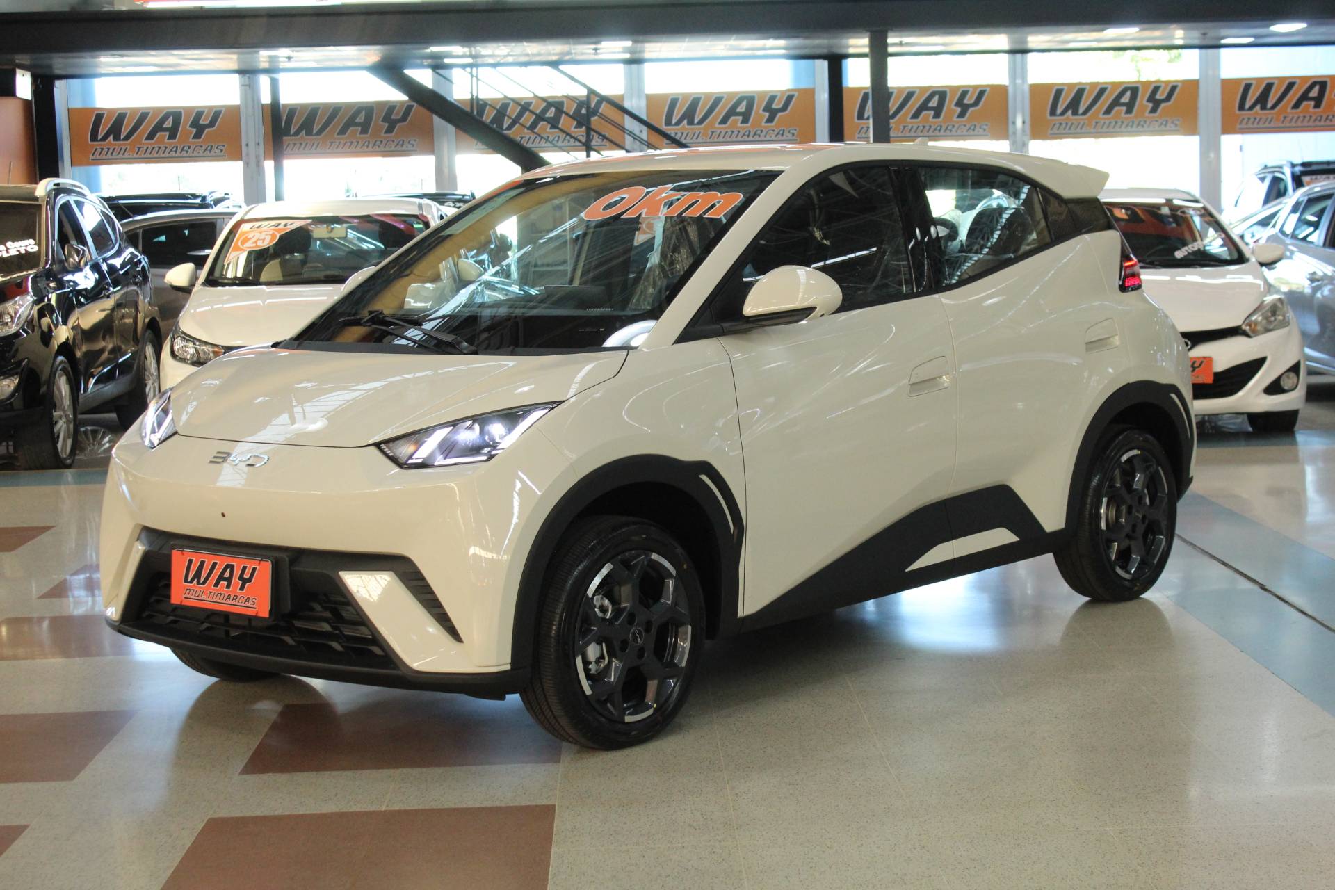 BYD DOLPHIN