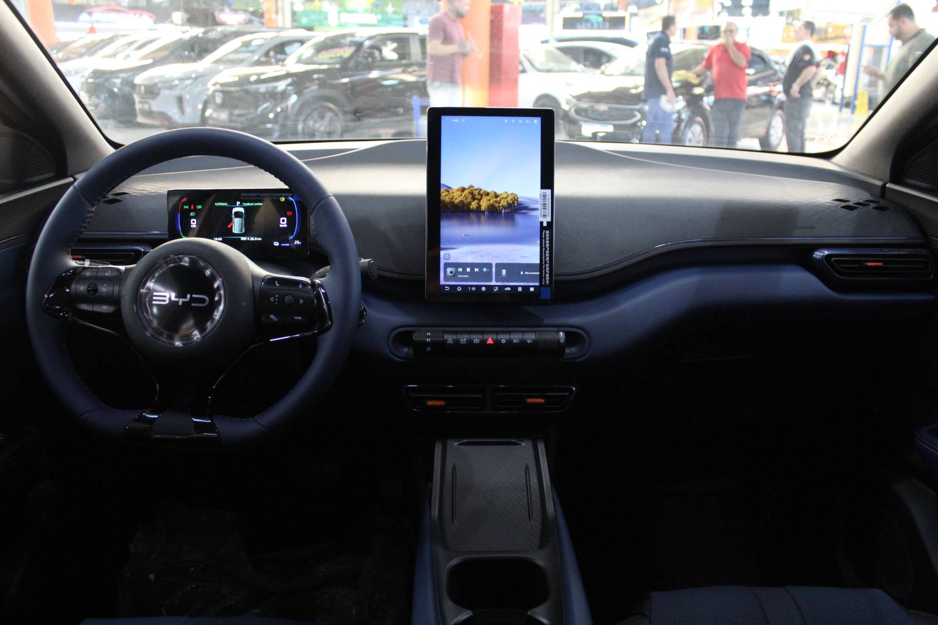BYD DOLPHIN