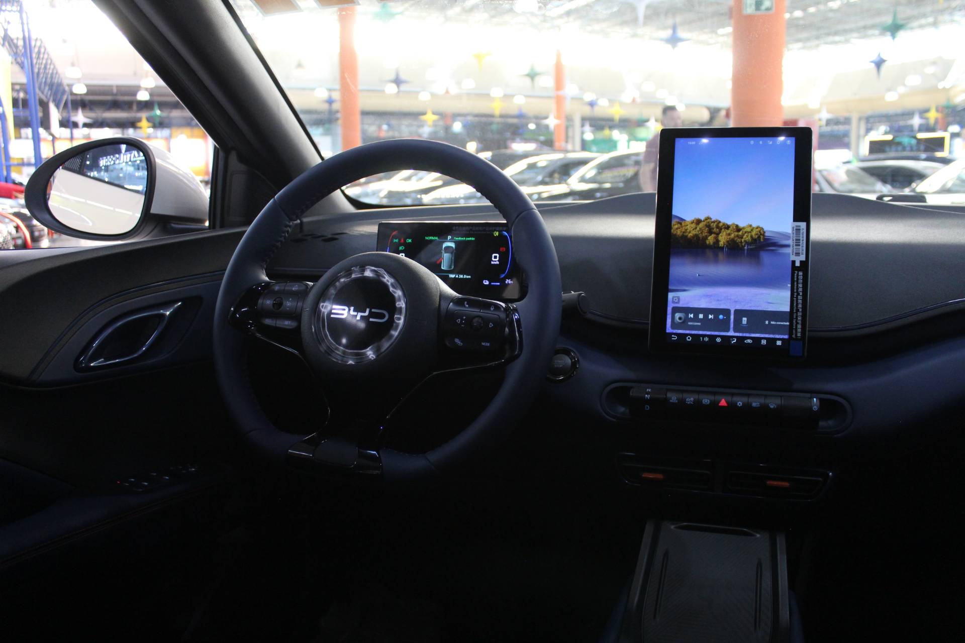 BYD DOLPHIN