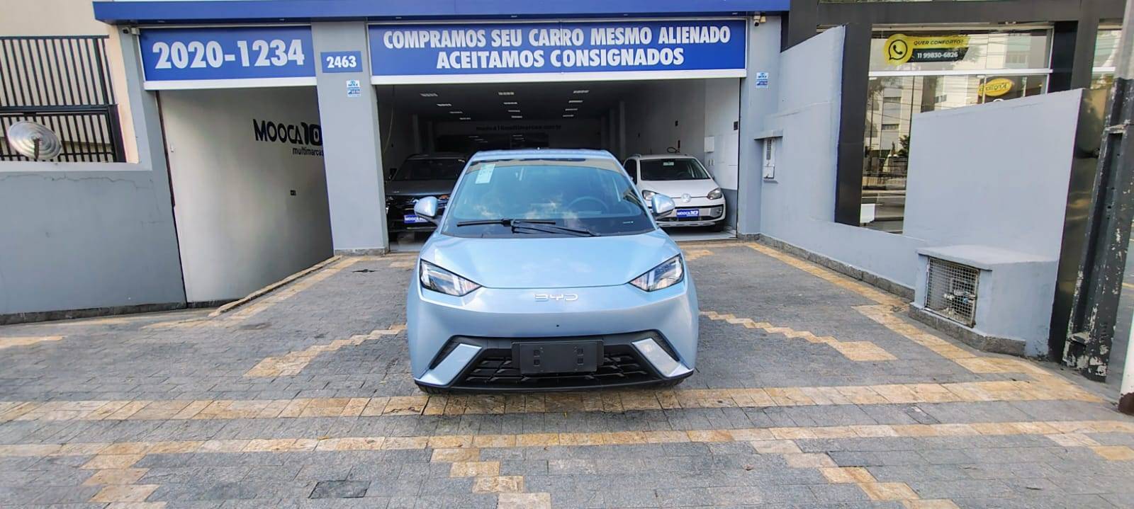 BYD DOLPHIN