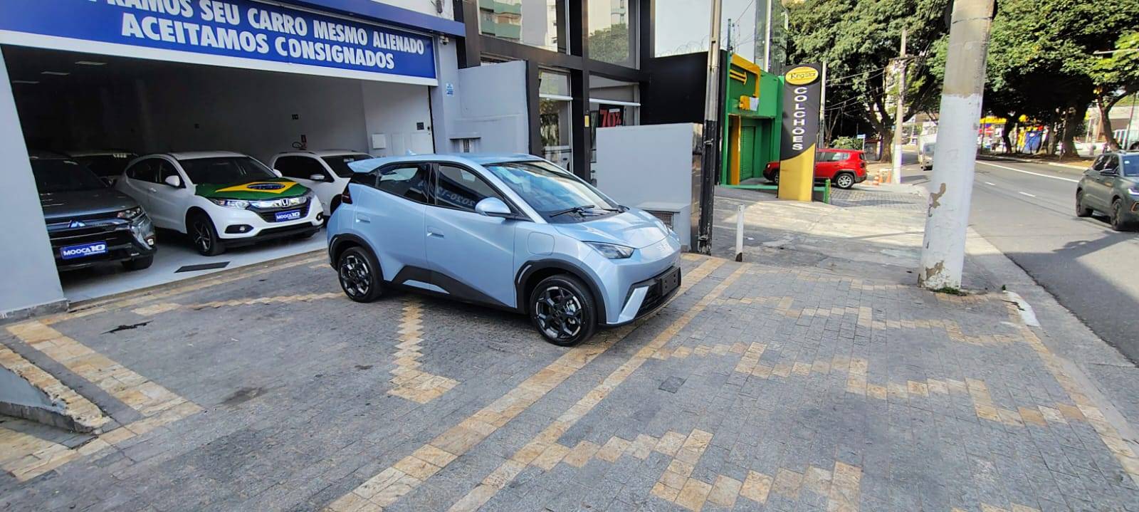 BYD DOLPHIN