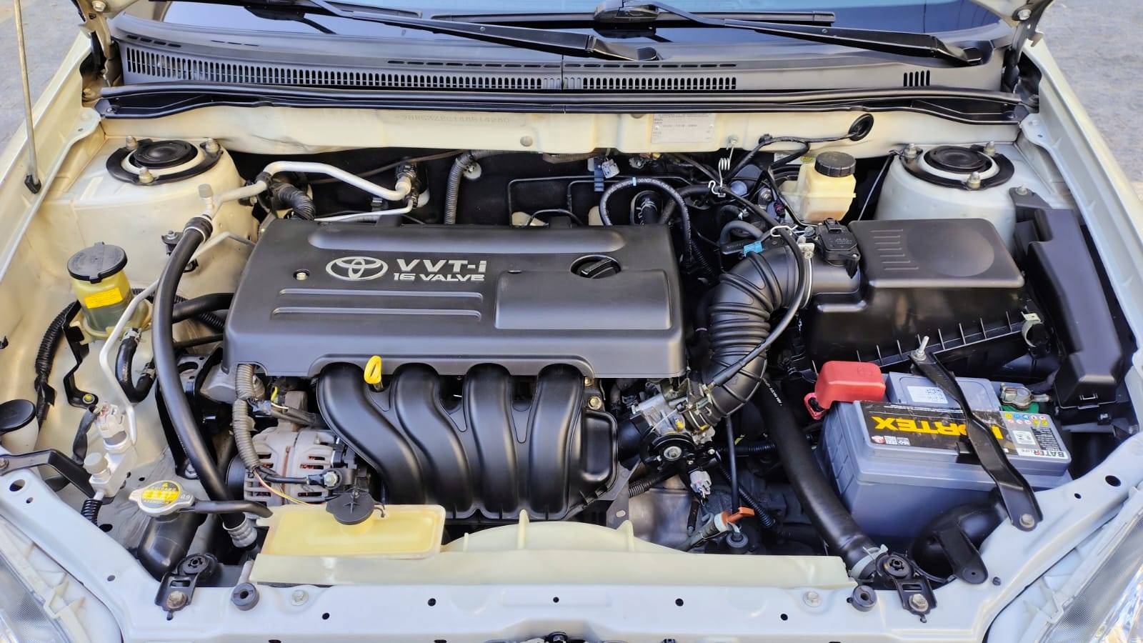 TOYOTA COROLLA