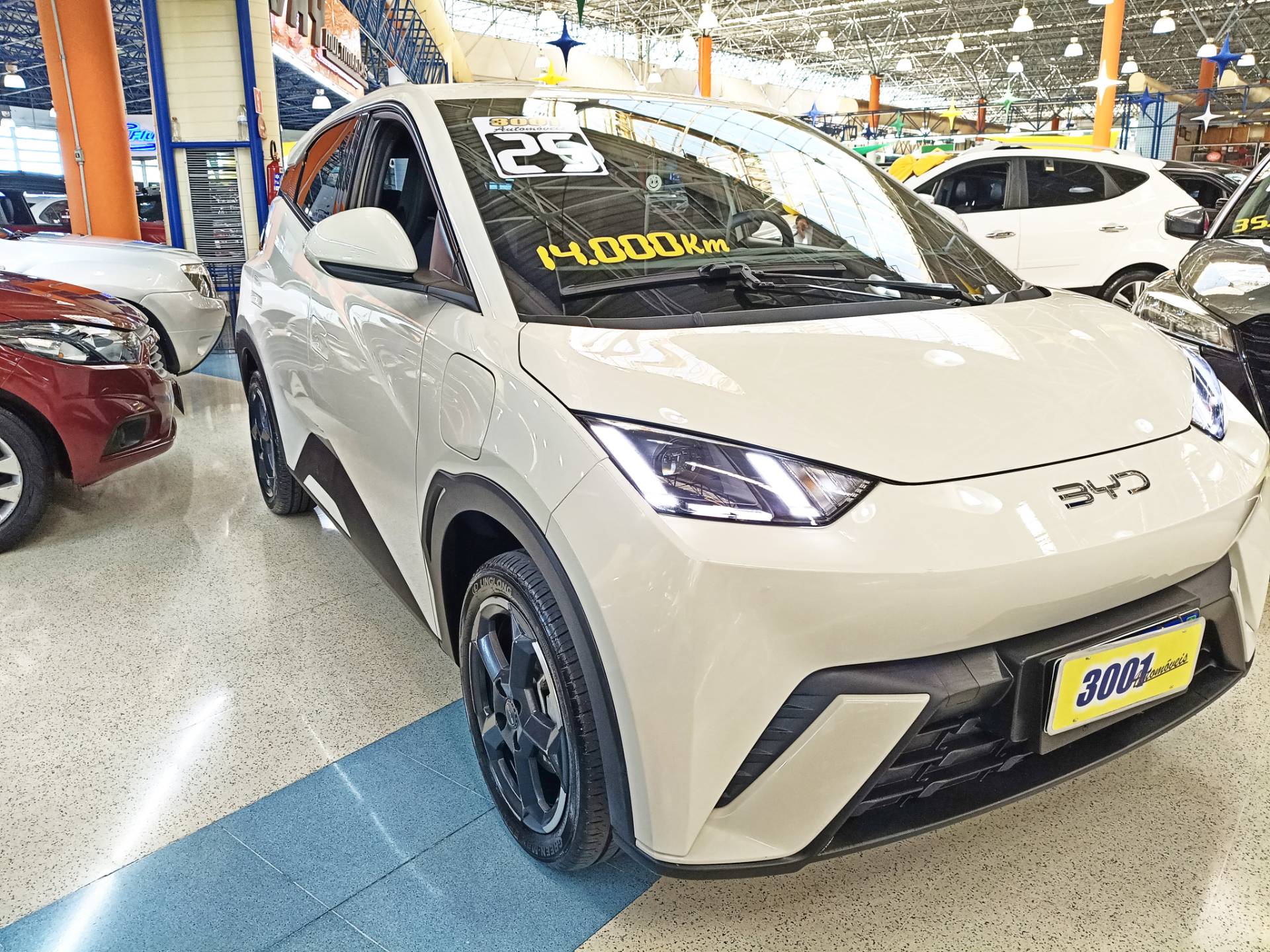 BYD DOLPHIN MINI