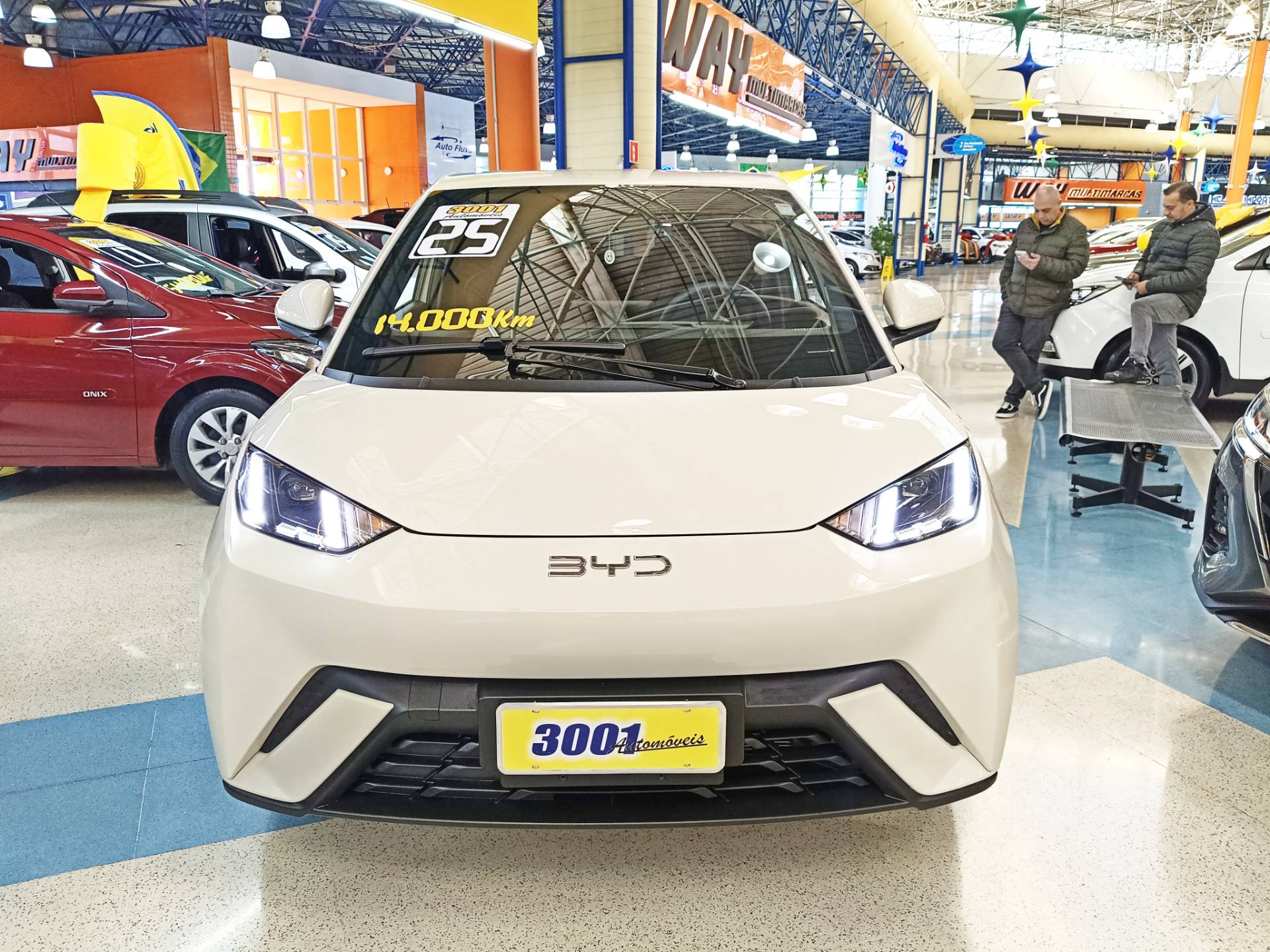 BYD DOLPHIN MINI