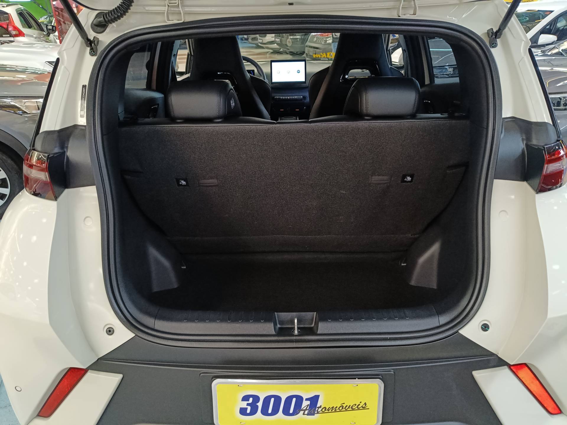 BYD DOLPHIN MINI