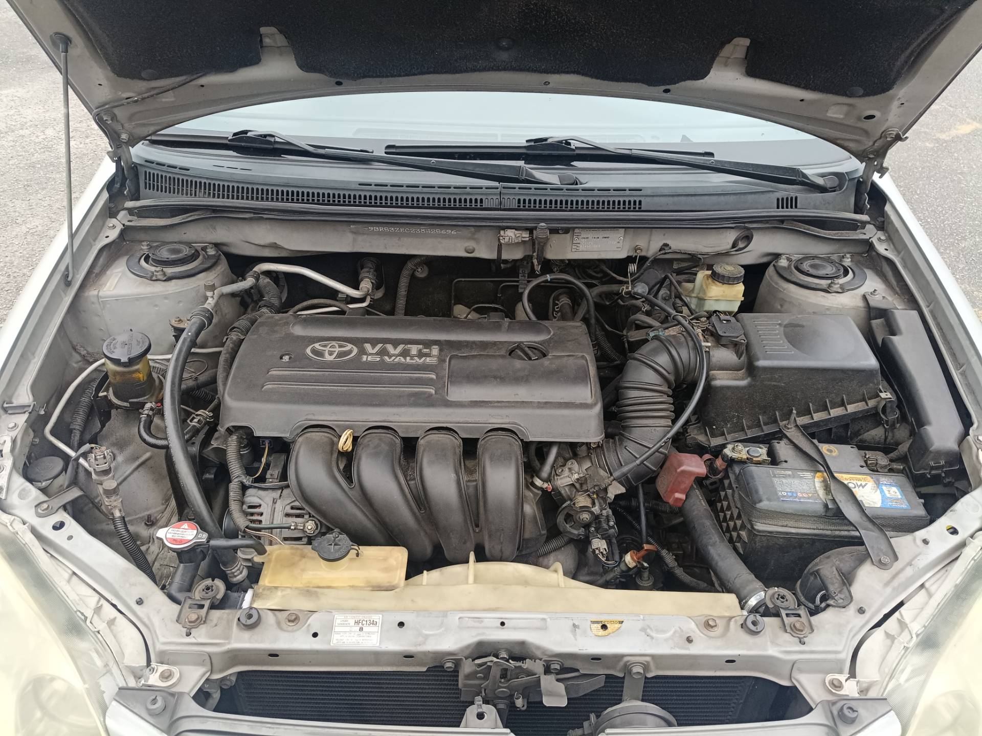 TOYOTA COROLLA