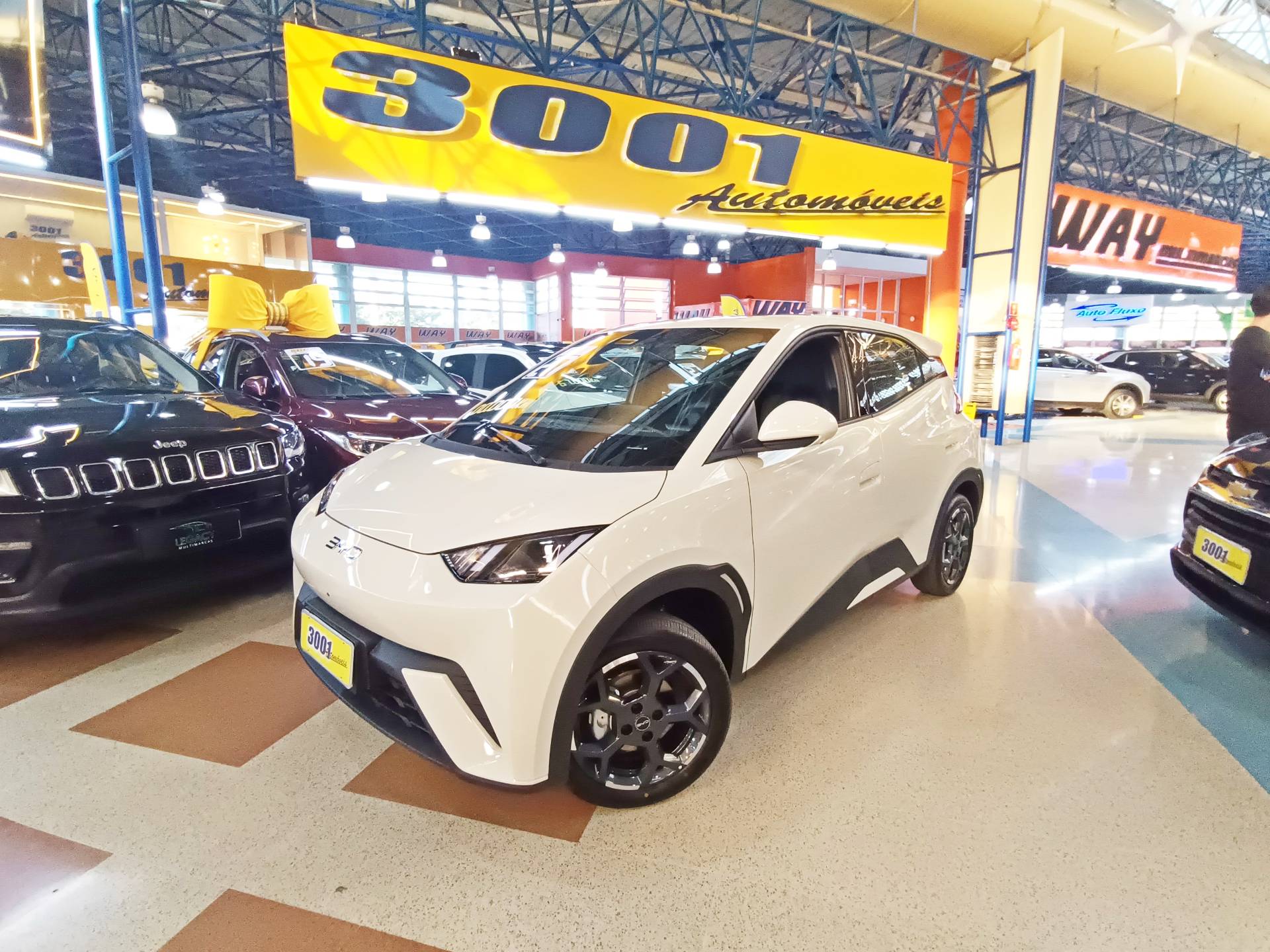 BYD DOLPHIN MINI