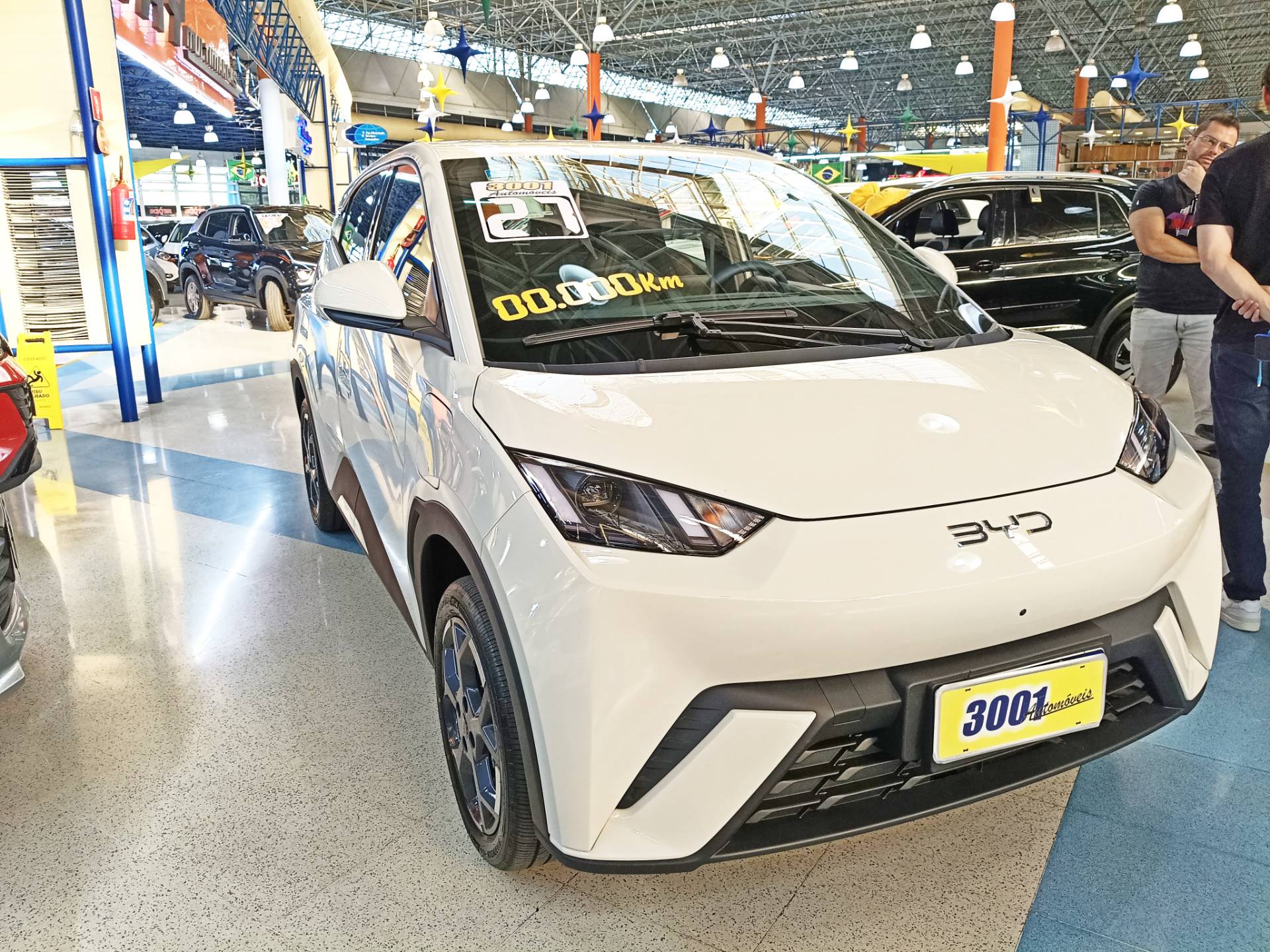 BYD DOLPHIN MINI