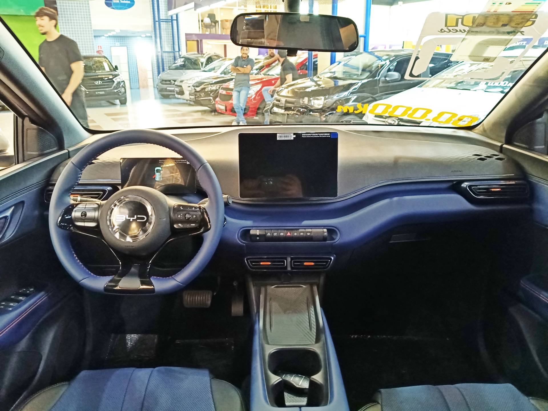 BYD DOLPHIN MINI