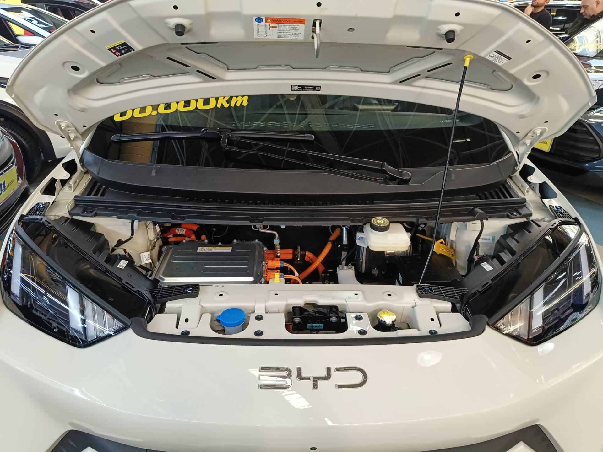 BYD DOLPHIN MINI
