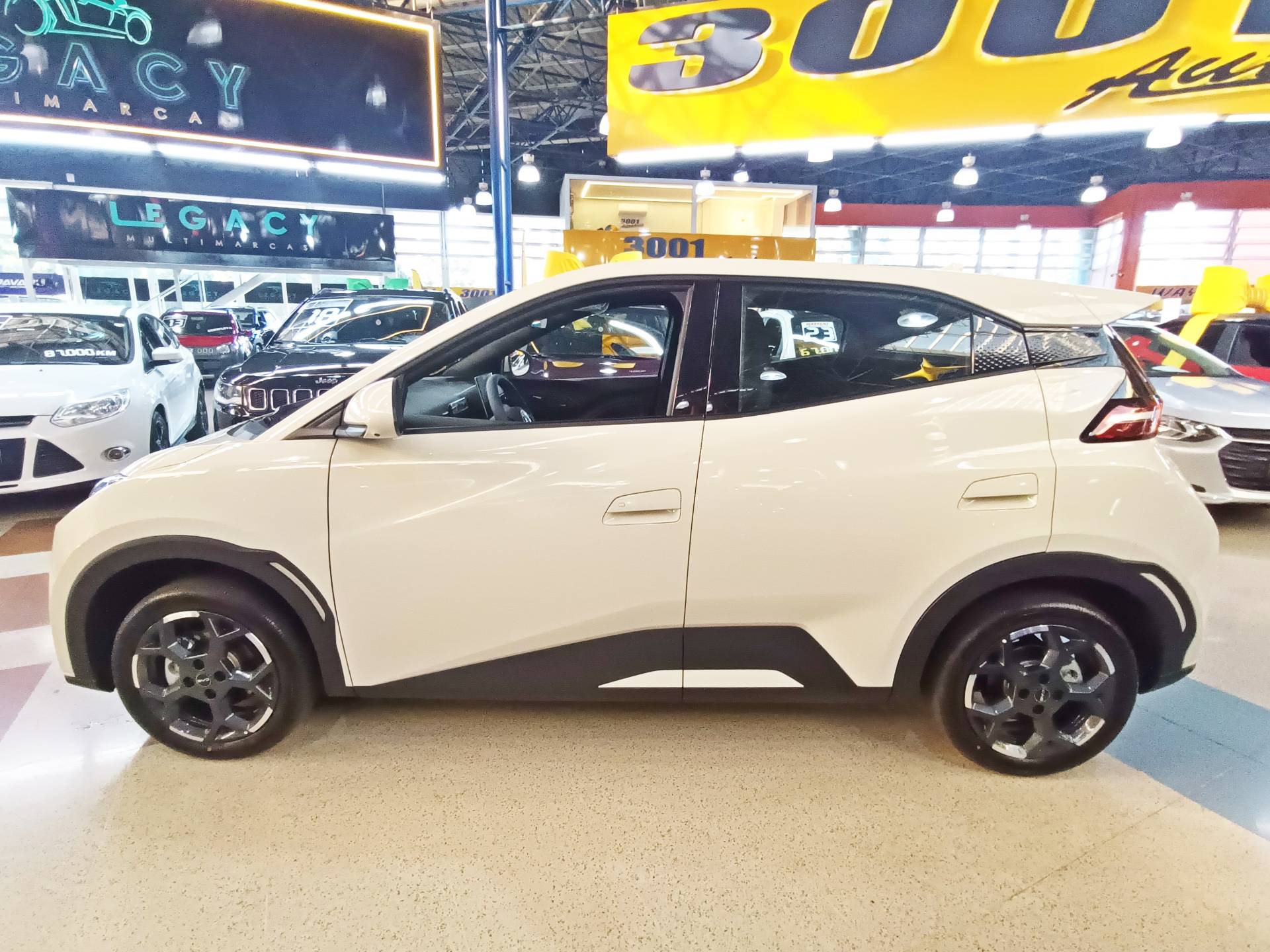 BYD DOLPHIN MINI