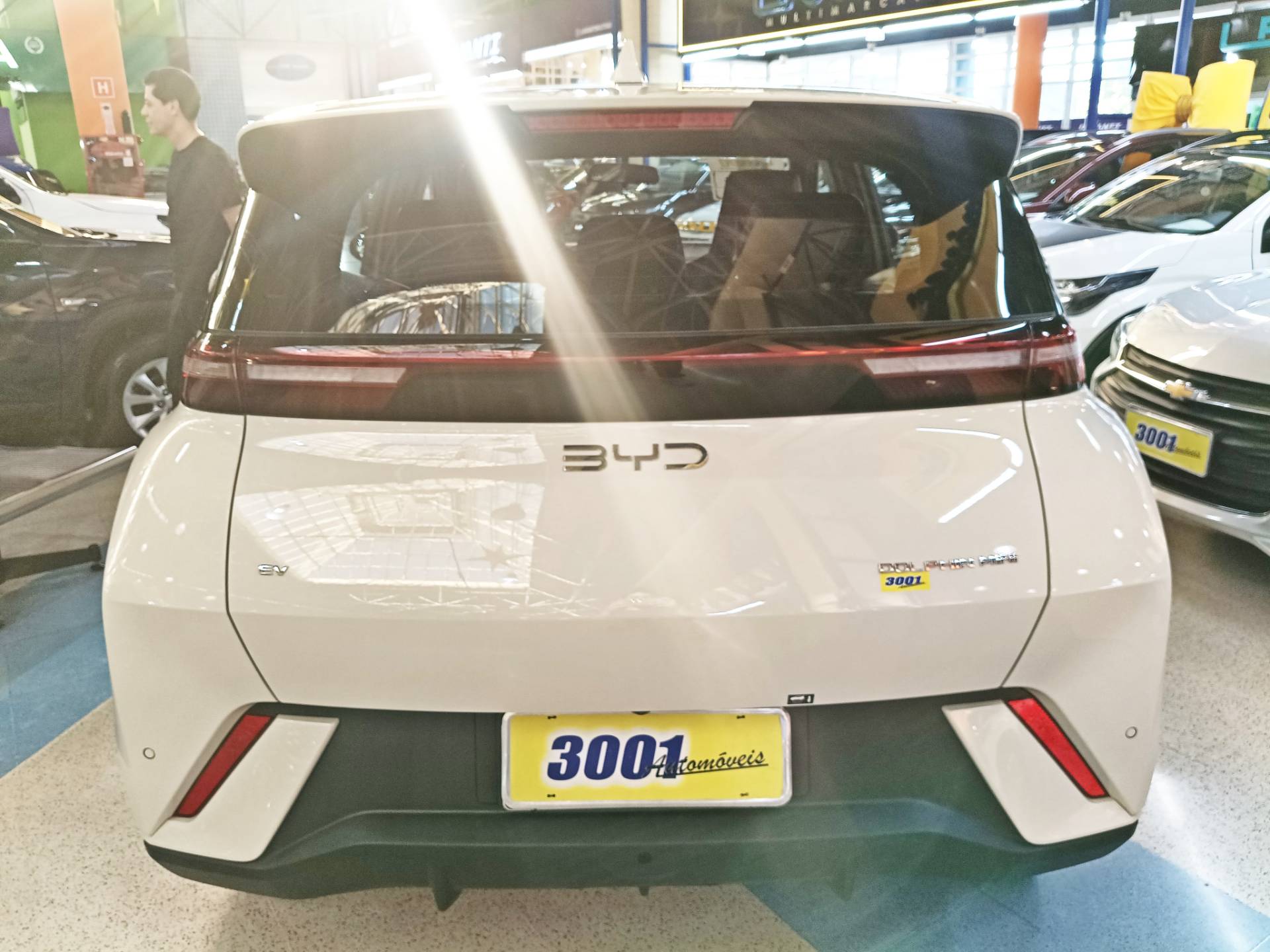 BYD DOLPHIN MINI