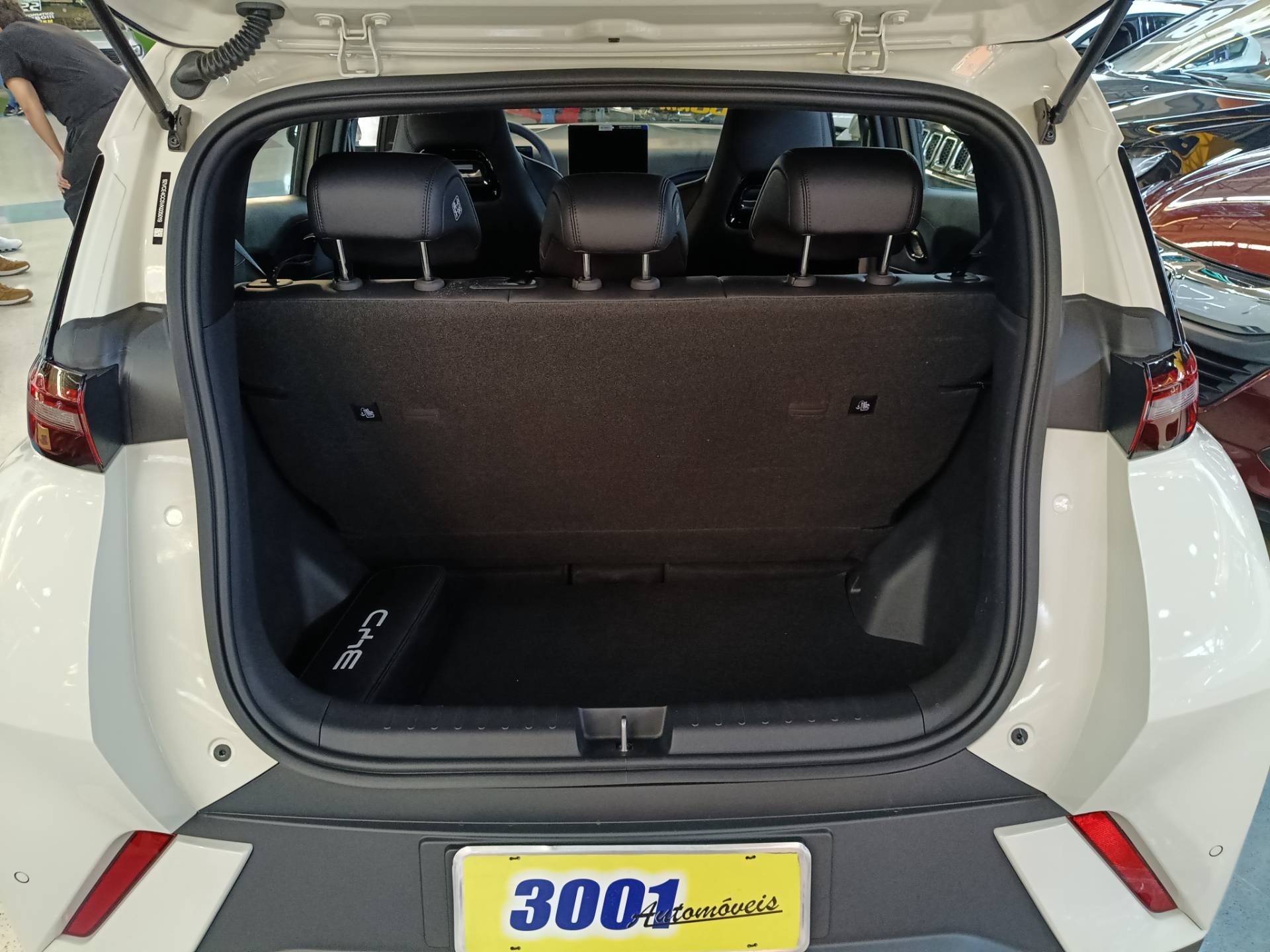BYD DOLPHIN MINI