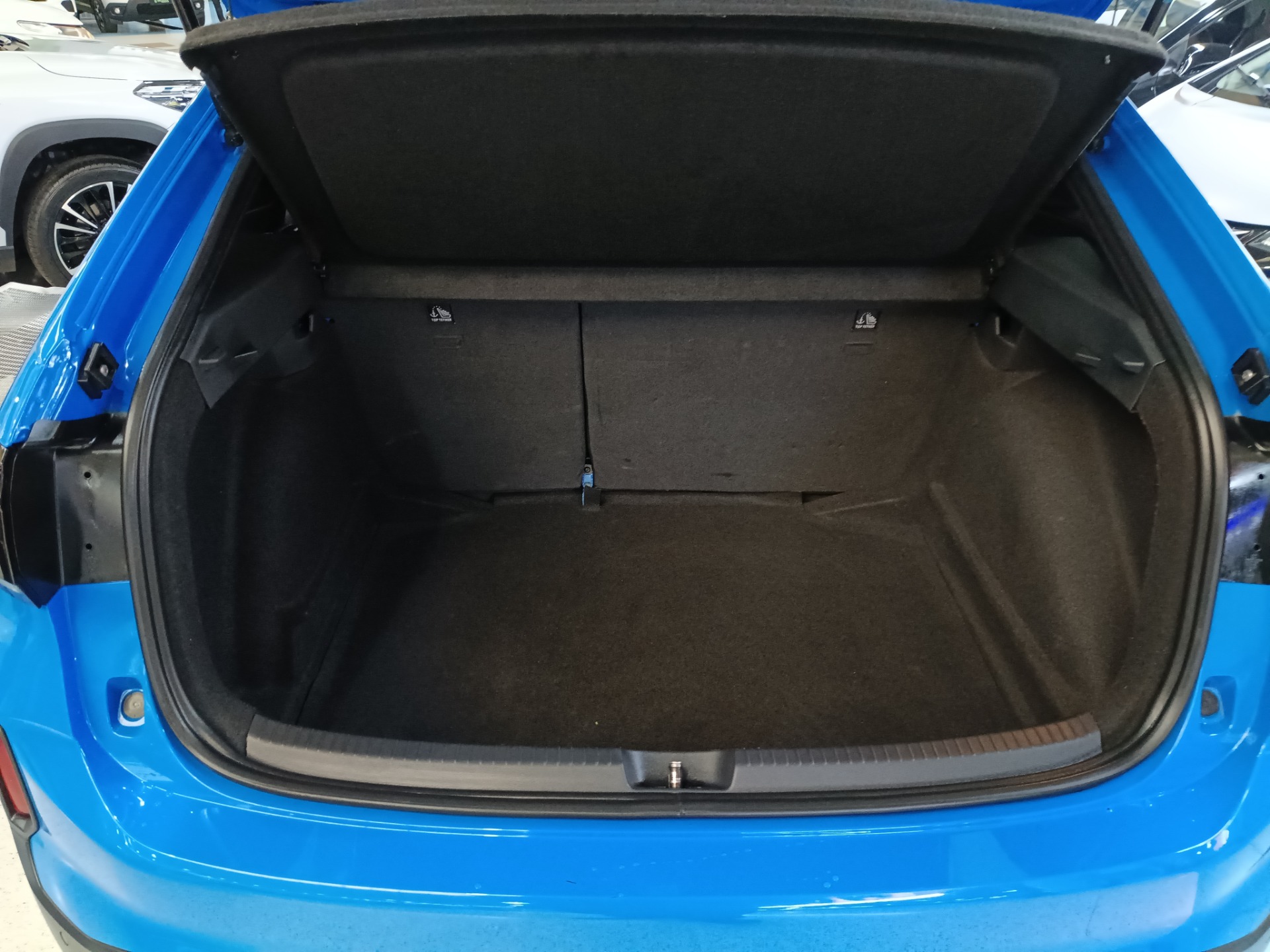 VOLKSWAGEN NIVUS