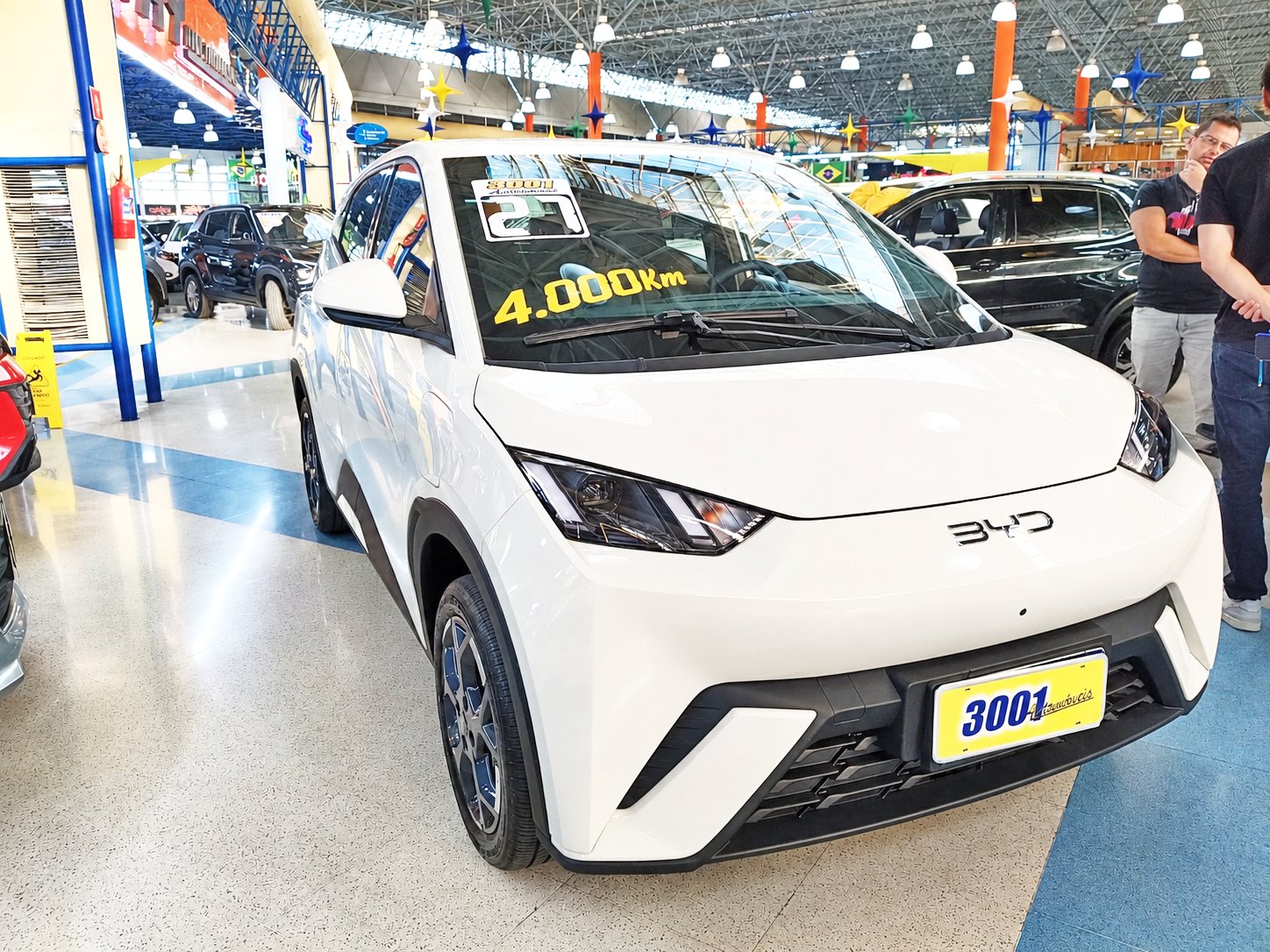 BYD DOLPHIN MINI