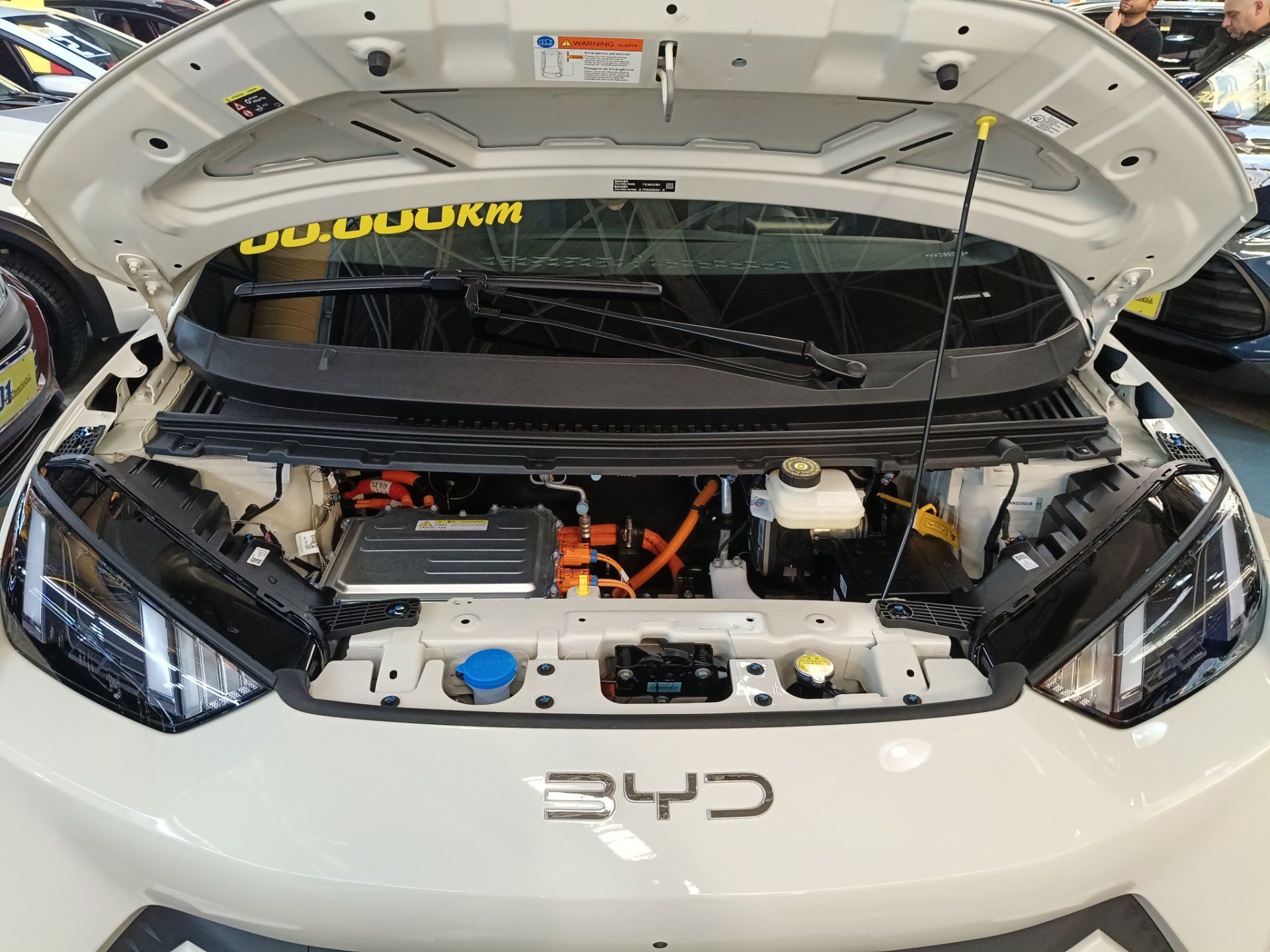 BYD DOLPHIN MINI
