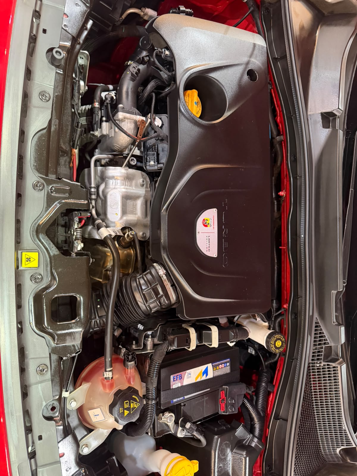 FIAT FASTBACK