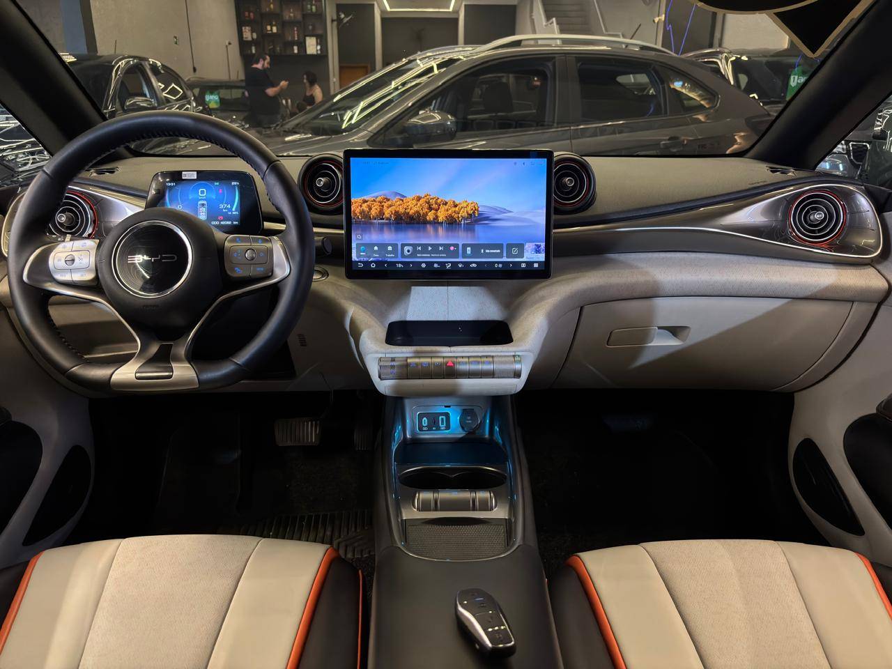 BYD DOLPHIN