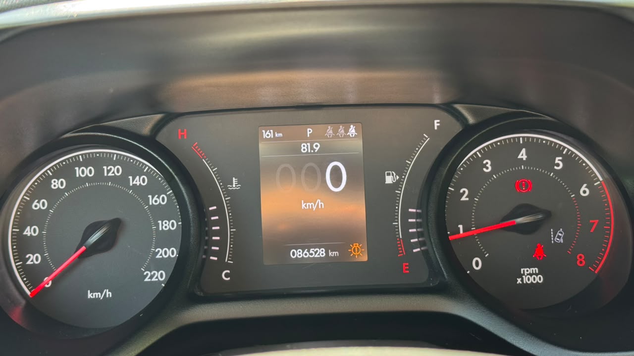 FIAT PULSE