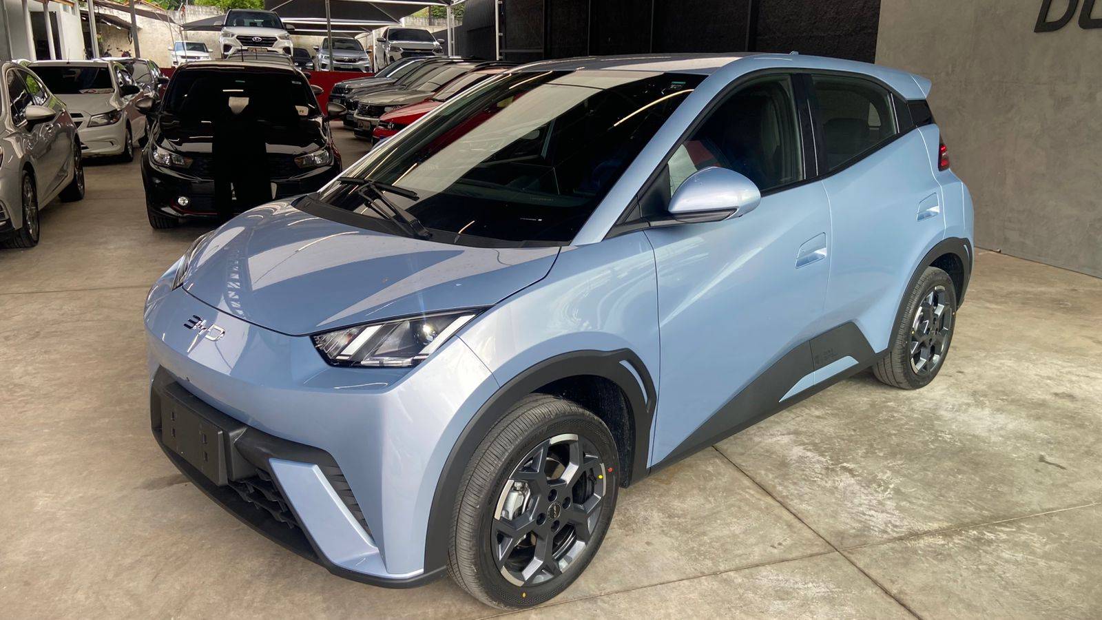 BYD DOLPHIN