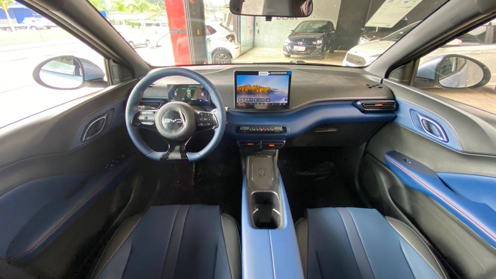 BYD DOLPHIN