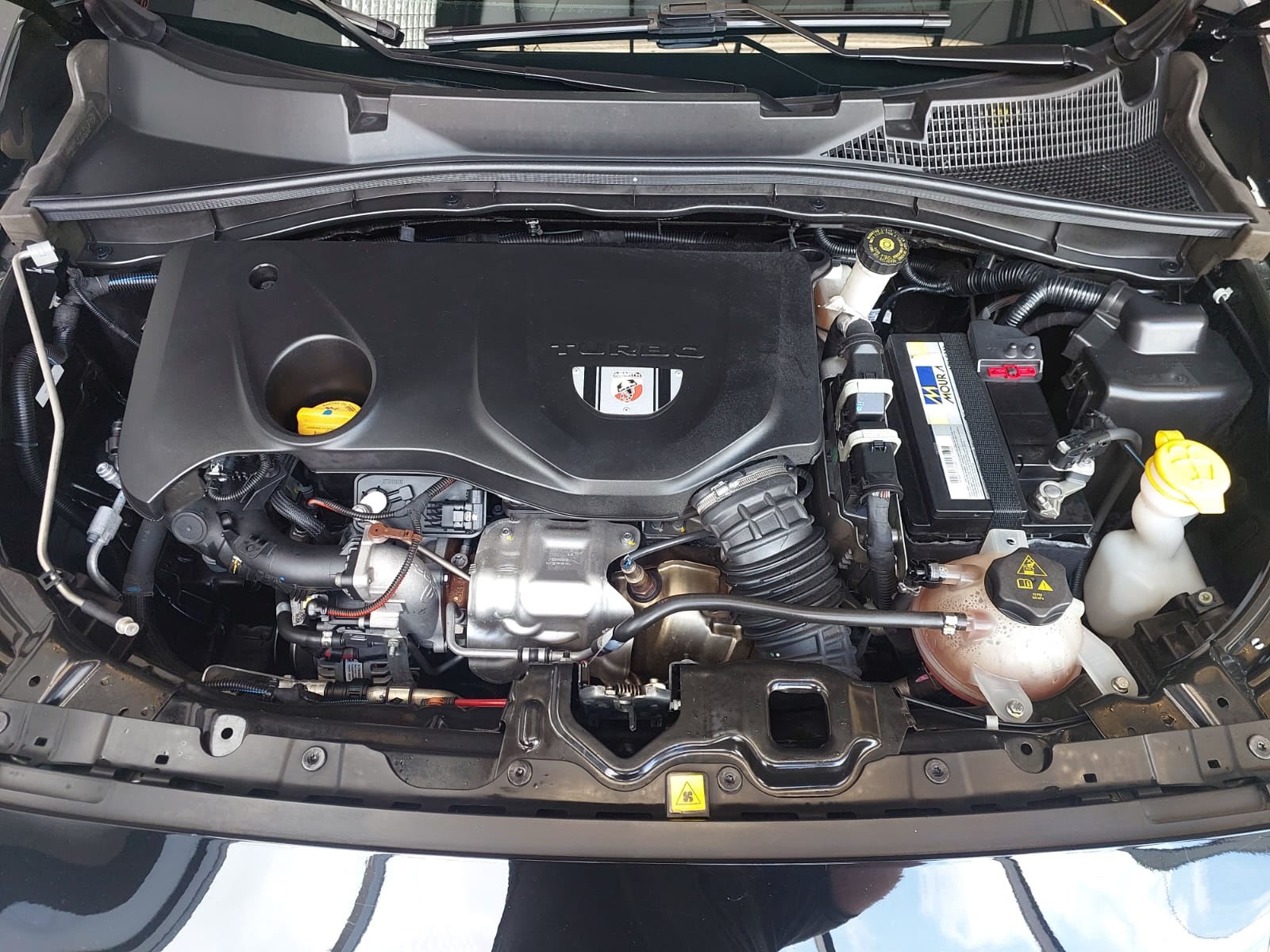 FIAT PULSE