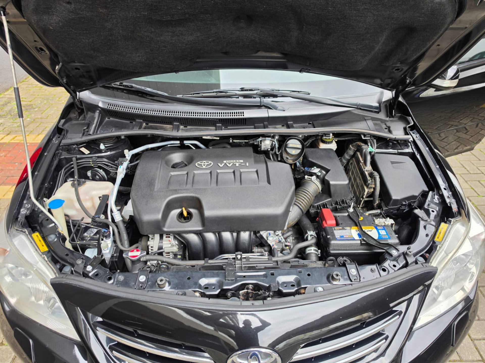 TOYOTA COROLLA