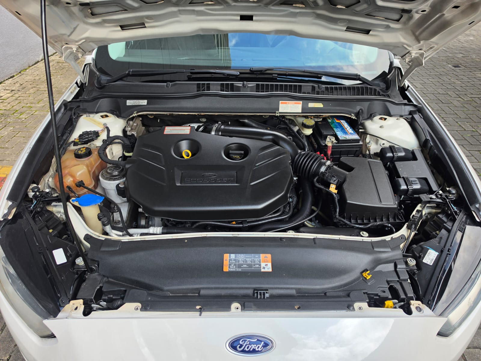 FORD FUSION