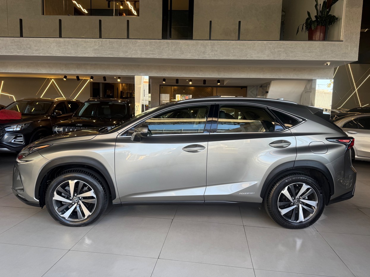 NX 300 2.0 16V VVT-i TURBO LUXURY 6A/T AWD