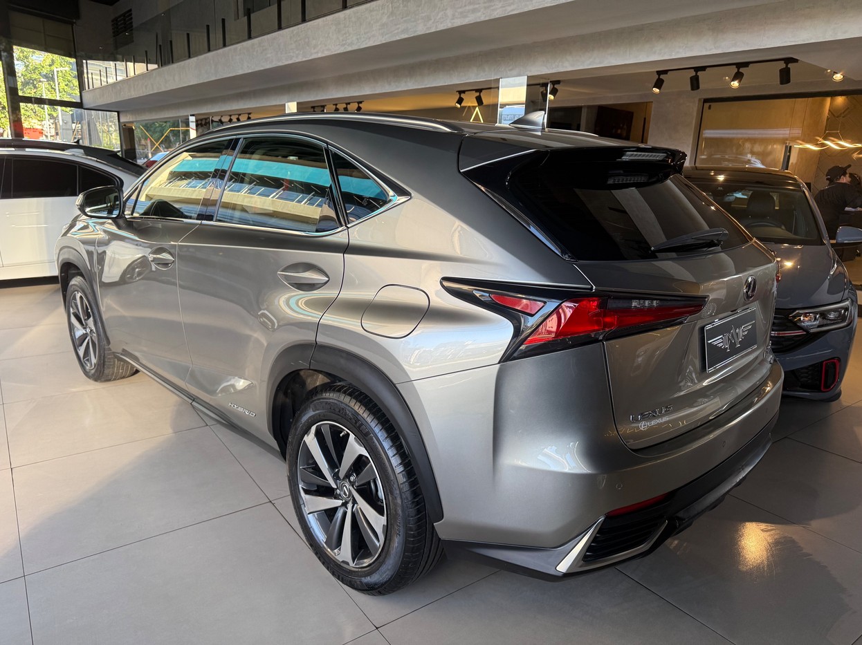 NX 300 2.0 16V VVT-i TURBO LUXURY 6A/T AWD