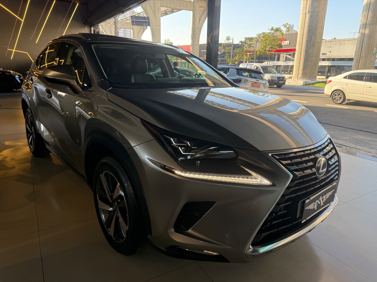 NX 300 2.0 16V VVT-i TURBO LUXURY 6A/T AWD
