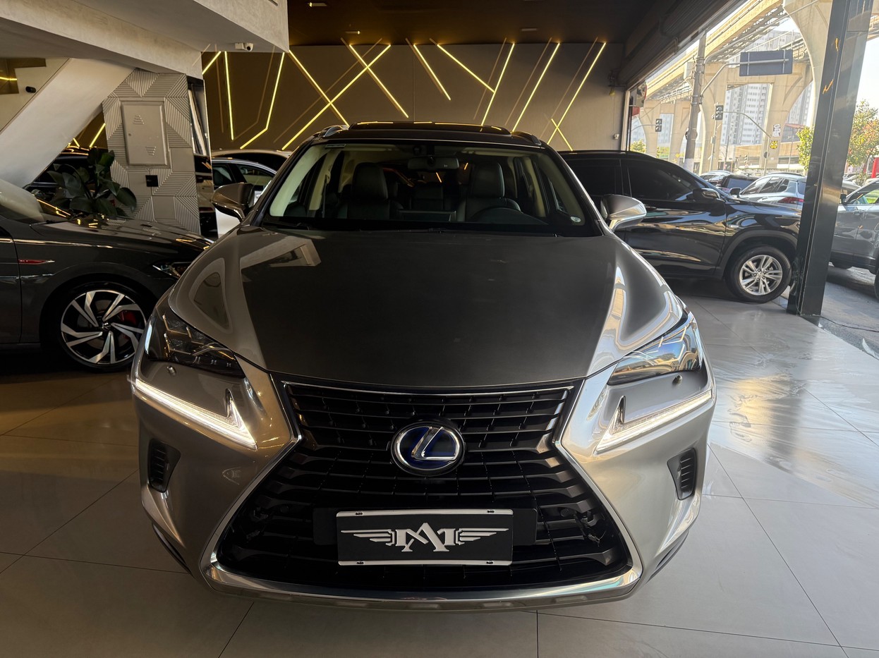 NX 300 2.0 16V VVT-i TURBO LUXURY 6A/T AWD