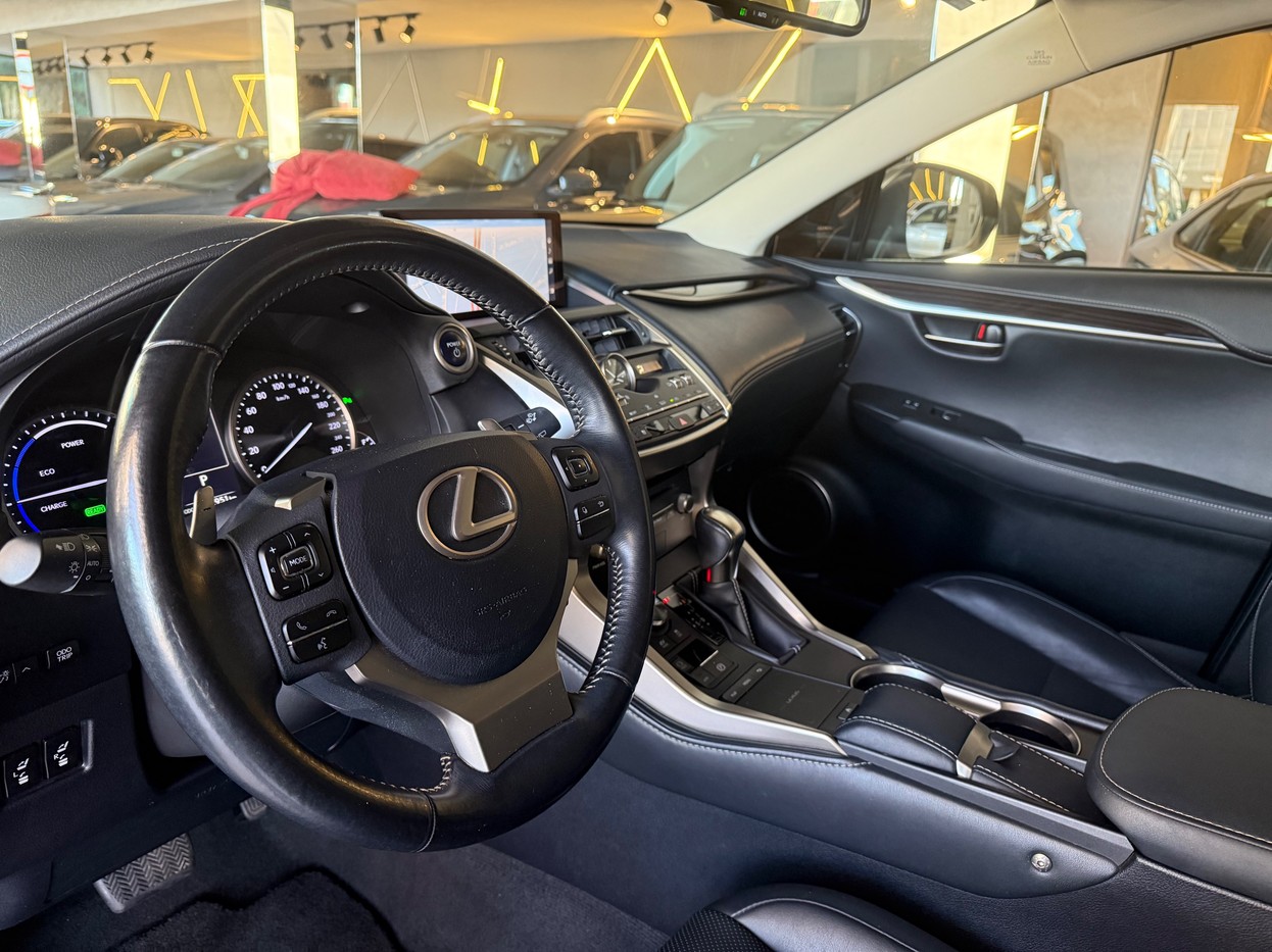 NX 300 2.0 16V VVT-i TURBO LUXURY 6A/T AWD