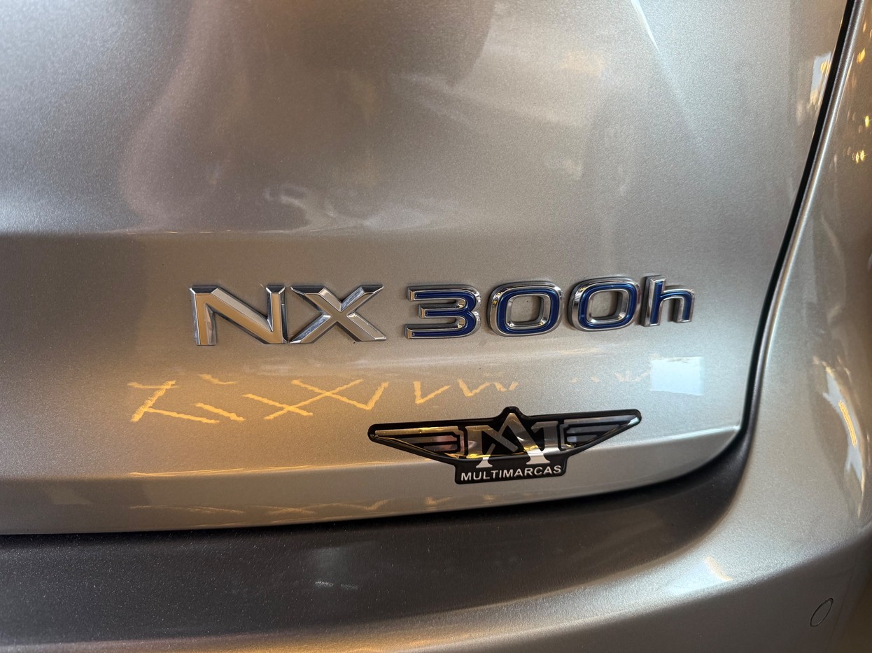 NX 300 2.0 16V VVT-i TURBO LUXURY 6A/T AWD