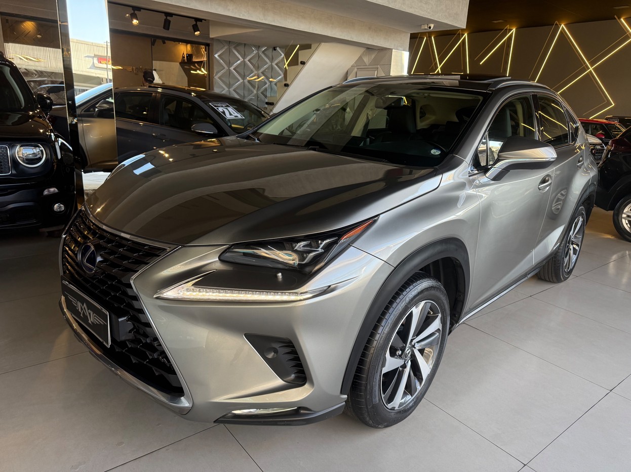 NX 300 2.0 16V VVT-i TURBO LUXURY 6A/T AWD