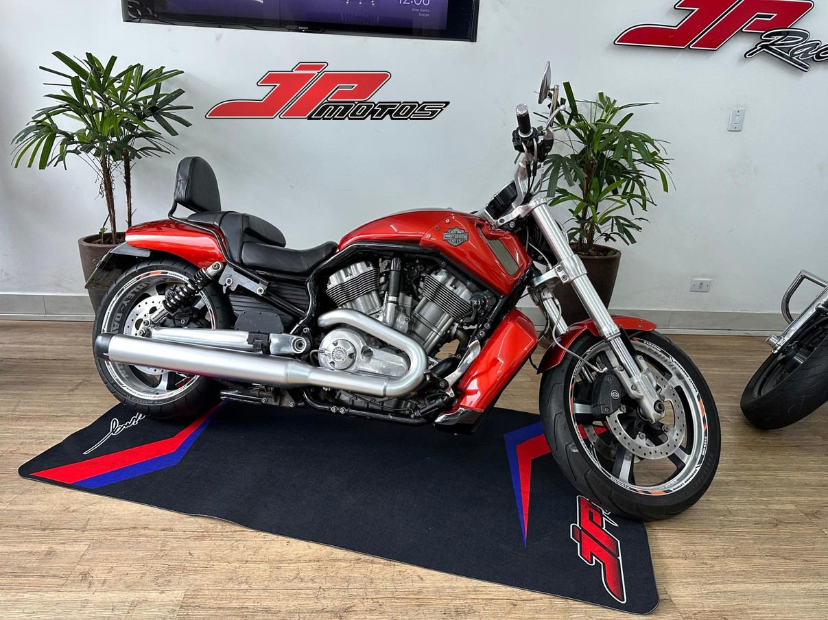 V ROD MUSCLE V ROD MUSCLE