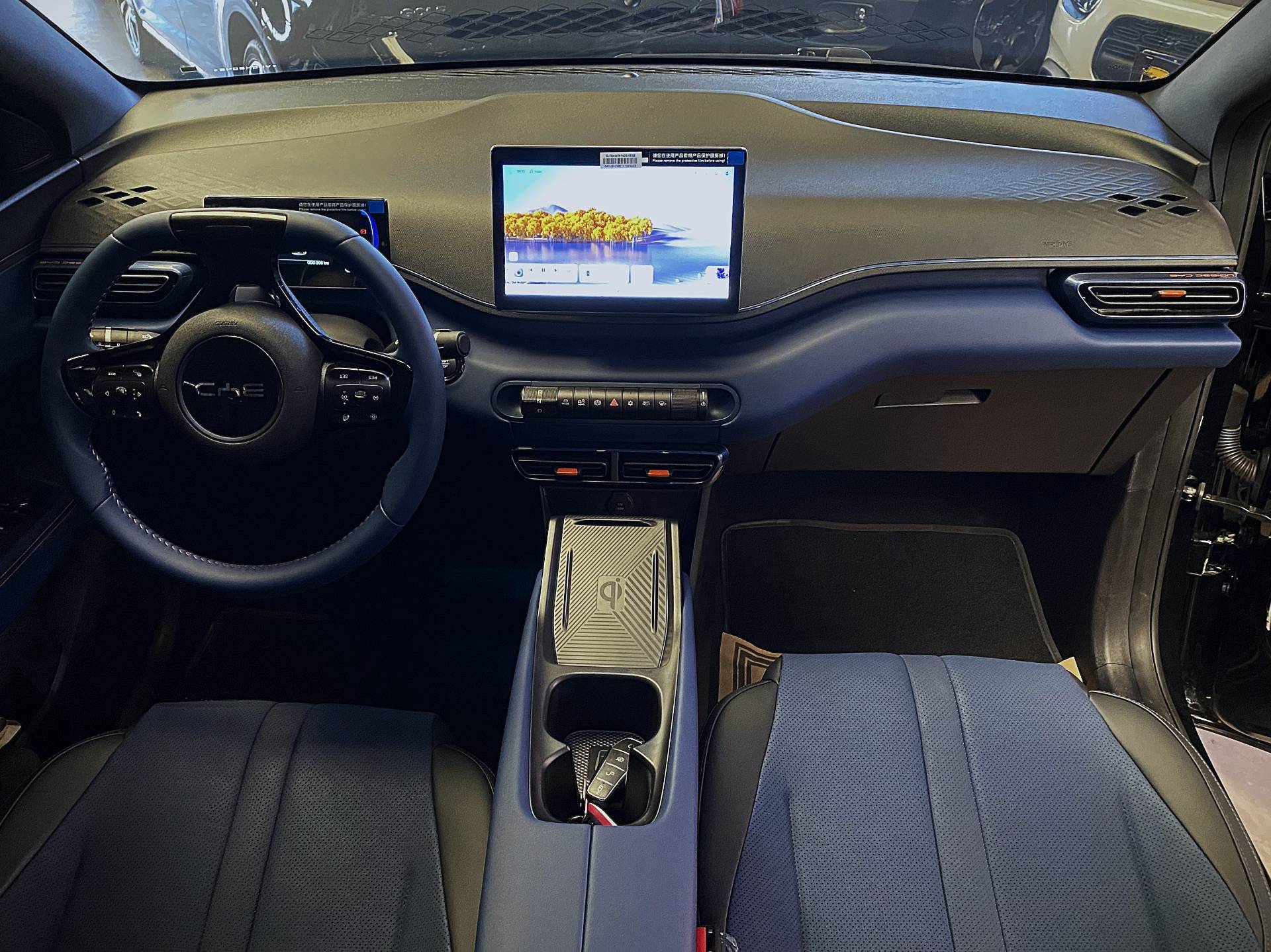 BYD DOLPHIN MINI