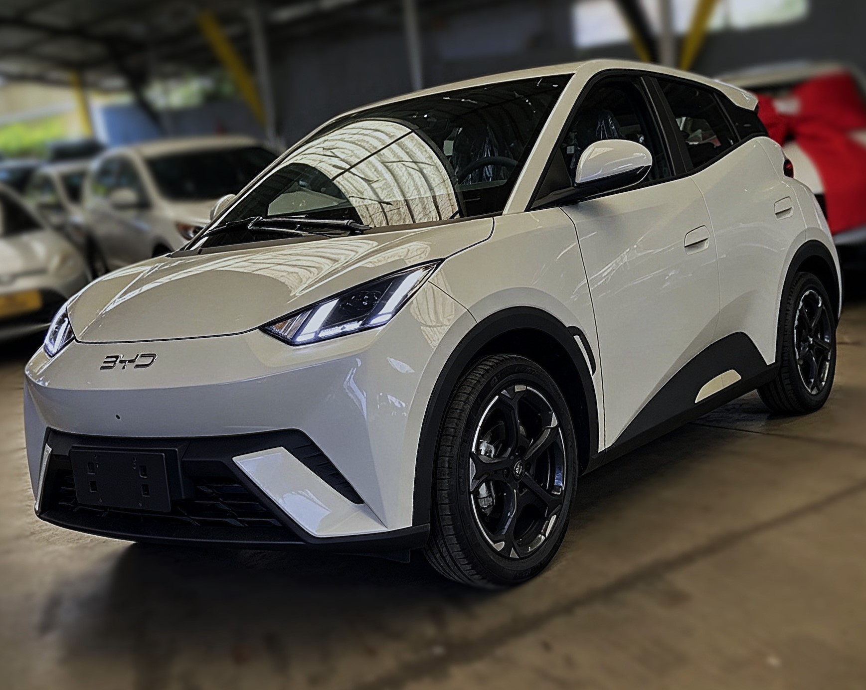 BYD DOLPHIN MINI