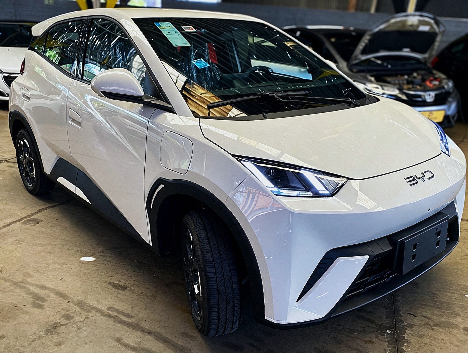 BYD DOLPHIN MINI